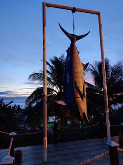 2021-09-23 18.54.56.jpg 2021-09-23 18.54.56.jpg