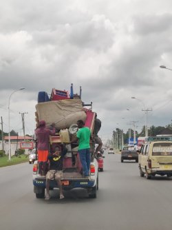 IMG_20210926_113753.jpg IMG_20210926_113753.jpg