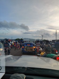 IMG_20210925_063734.jpg IMG_20210925_063734.jpg