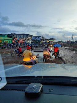 IMG_20210925_063004.jpg IMG_20210925_063004.jpg