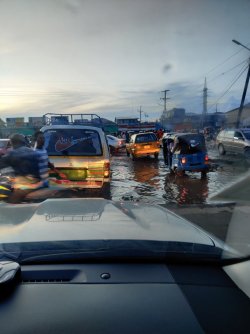 IMG_20210925_062823.jpg IMG_20210925_062823.jpg