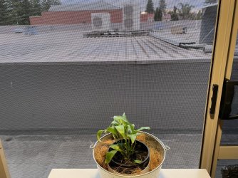 F98FC448-F8BD-4352-81D0-63EF85AED365.jpeg F98FC448-F8BD-4352-81D0-63EF85AED365.jpeg