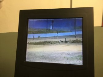 3BFB32EE-A3D2-4CA2-9E66-E44A64131CB3.jpeg 3BFB32EE-A3D2-4CA2-9E66-E44A64131CB3.jpeg