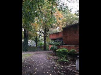 47381DF3-08AA-4136-B2BA-E845C82D0E8D.png 47381DF3-08AA-4136-B2BA-E845C82D0E8D.png