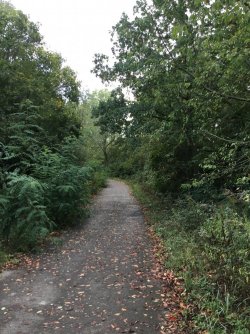 4E8075EC-58D0-40D6-B293-FA0B419474ED.jpeg 4E8075EC-58D0-40D6-B293-FA0B419474ED.jpeg