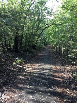 CF36B0F4-AD03-4B14-8EE5-6895806C04DA.jpeg CF36B0F4-AD03-4B14-8EE5-6895806C04DA.jpeg