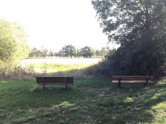 183C1185-6B47-4CC3-AC41-8DE0F55B73B5.jpeg 183C1185-6B47-4CC3-AC41-8DE0F55B73B5.jpeg