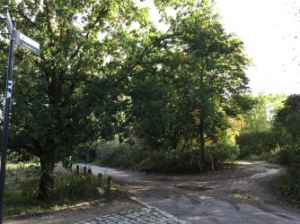 7F151620-CA07-49C0-94CE-00CF25C7BA97.jpeg 7F151620-CA07-49C0-94CE-00CF25C7BA97.jpeg