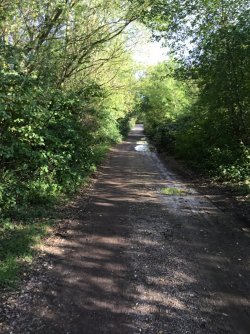 9831498B-890F-4129-9163-43B7C0FA6A00.jpeg 9831498B-890F-4129-9163-43B7C0FA6A00.jpeg