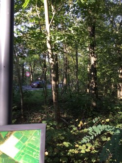 9C962689-4CFD-4DCC-9FF6-891F331DE301.jpeg 9C962689-4CFD-4DCC-9FF6-891F331DE301.jpeg