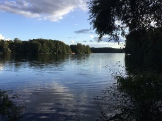 2588F237-05F8-4D9B-A8C2-CC594F554899.jpeg 2588F237-05F8-4D9B-A8C2-CC594F554899.jpeg