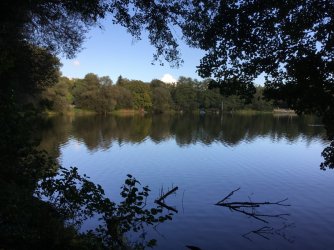 E245DF38-1877-463B-AE30-3853F3B41DFF.jpeg E245DF38-1877-463B-AE30-3853F3B41DFF.jpeg