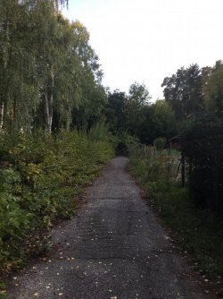 5B6D895B-D353-430A-8ED7-0BDF2BDE4CED.jpeg 5B6D895B-D353-430A-8ED7-0BDF2BDE4CED.jpeg