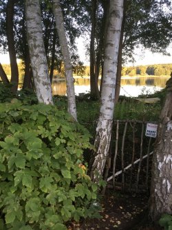 EFD736A1-FC64-4E05-9D26-0D777080C0D8.jpeg EFD736A1-FC64-4E05-9D26-0D777080C0D8.jpeg