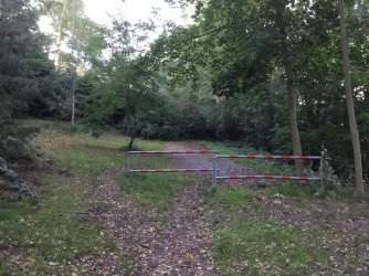 B032B35F-D6B6-404C-83B5-51F3EB236B67.jpeg B032B35F-D6B6-404C-83B5-51F3EB236B67.jpeg