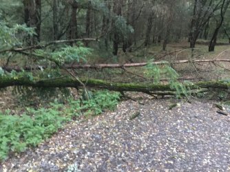 1E969D9E-B144-451E-BCDF-9634178814AC.jpeg 1E969D9E-B144-451E-BCDF-9634178814AC.jpeg