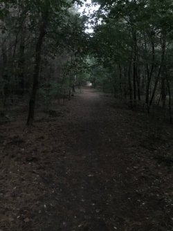 FA4E4EAC-6938-4DA3-975C-4BCFAD004040.jpeg FA4E4EAC-6938-4DA3-975C-4BCFAD004040.jpeg