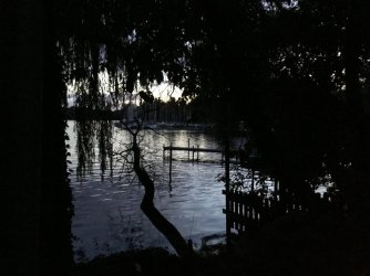 09B63EDB-8388-4496-8F53-FFC10FCFFDB0.jpeg 09B63EDB-8388-4496-8F53-FFC10FCFFDB0.jpeg