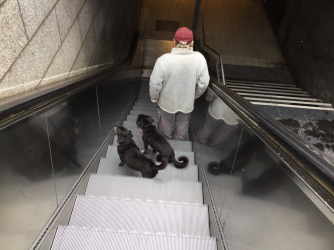 A4476DBE-4C81-4B9A-896E-F2B350AC148A.png A4476DBE-4C81-4B9A-896E-F2B350AC148A.png