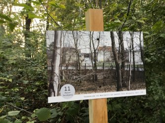 DDE089B9-13F5-49CD-9C44-C9CF6433F43C.jpeg DDE089B9-13F5-49CD-9C44-C9CF6433F43C.jpeg