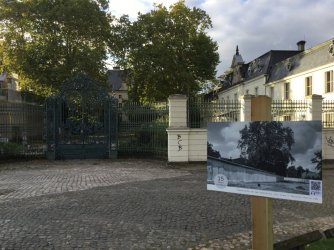 43A970A9-D369-43FF-95A1-1B925CFB60B2.jpeg 43A970A9-D369-43FF-95A1-1B925CFB60B2.jpeg