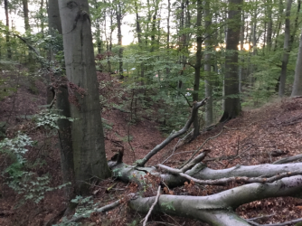 0B492FA1-A7B6-46B9-BB4B-8A618C893748.png 0B492FA1-A7B6-46B9-BB4B-8A618C893748.png