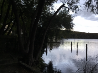 ED624F41-8EEB-4042-863F-02A8BFCF1F28.png ED624F41-8EEB-4042-863F-02A8BFCF1F28.png