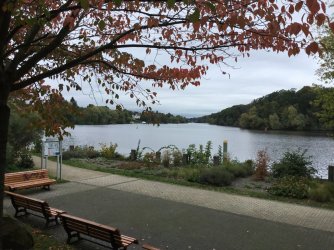 A5E88DBC-1B84-4BC0-B799-65B0F38BB0A8.jpeg A5E88DBC-1B84-4BC0-B799-65B0F38BB0A8.jpeg