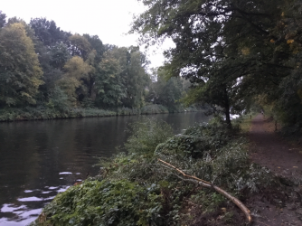 812B2CD8-407C-4DC4-8E2E-53CB35B5B0FA.png 812B2CD8-407C-4DC4-8E2E-53CB35B5B0FA.png