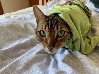 IMG_0445.jpg IMG_0445.jpg