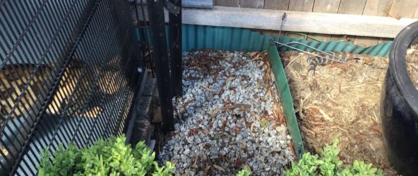 IMG_3598 (2).jpeg IMG_3598 (2).jpeg