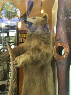 B74B7693-E971-422B-9B25-87F9B0F83AE4.jpeg B74B7693-E971-422B-9B25-87F9B0F83AE4.jpeg