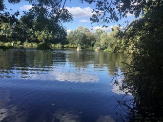 2B5F78C5-912A-4205-8A1D-F459DEA892D9.jpeg 2B5F78C5-912A-4205-8A1D-F459DEA892D9.jpeg