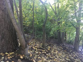 3A070671-E76A-4CD5-8FB3-B2A483644301.jpeg 3A070671-E76A-4CD5-8FB3-B2A483644301.jpeg