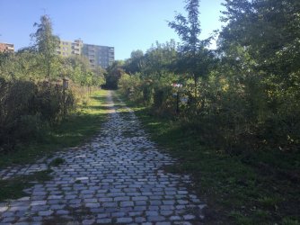 A959D0E7-44D7-44B8-A08E-E34C81909449.jpeg A959D0E7-44D7-44B8-A08E-E34C81909449.jpeg