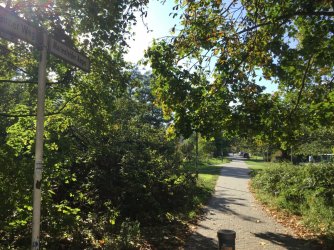 E5B1C9C7-DB34-494D-B8A2-496E82136B96.jpeg E5B1C9C7-DB34-494D-B8A2-496E82136B96.jpeg