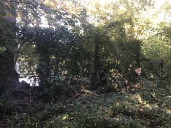 2DD57002-1FCE-4D00-B1FA-922CA290FAB6.jpeg 2DD57002-1FCE-4D00-B1FA-922CA290FAB6.jpeg