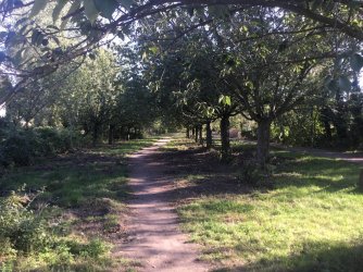 09D44550-BE81-4960-BD4E-42416E6D1DFF.jpeg 09D44550-BE81-4960-BD4E-42416E6D1DFF.jpeg