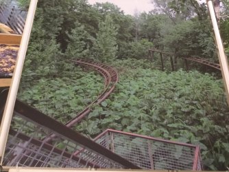 C2693B45-DCD0-447E-8D29-D96FB21B08C4.jpeg C2693B45-DCD0-447E-8D29-D96FB21B08C4.jpeg