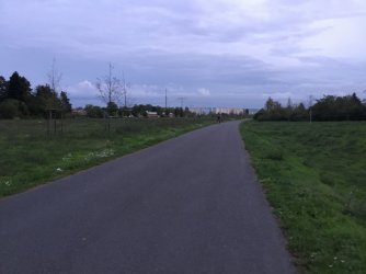 55EB050E-9409-4175-9453-1AACDC338315.jpeg 55EB050E-9409-4175-9453-1AACDC338315.jpeg