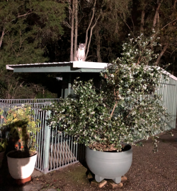 Screen Shot 2021-10-22 at 4.52.06 pm.png Screen Shot 2021-10-22 at 4.52.06 pm.png