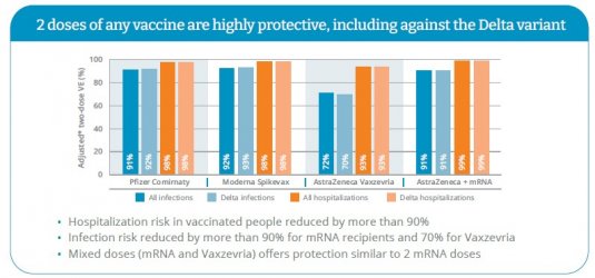 BC study.jpg BC study.jpg