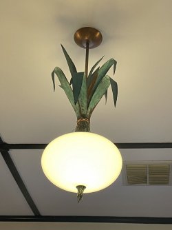 IMG_2437.JPG IMG_2437.JPG