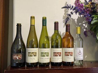 IMG_2524 - Copy.JPG IMG_2524 - Copy.JPG