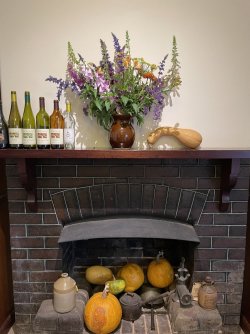 IMG_2533.JPG IMG_2533.JPG