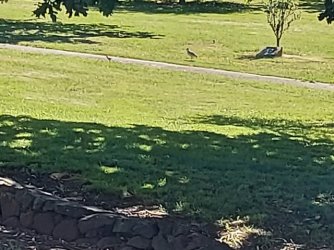 20211108_143958.jpg 20211108_143958.jpg