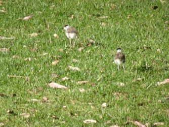 DSC07638.JPG DSC07638.JPG