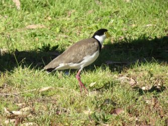 DSC07639.JPG DSC07639.JPG