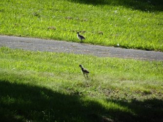 DSC07651.JPG DSC07651.JPG