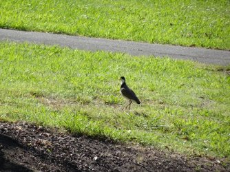 DSC07652.JPG DSC07652.JPG